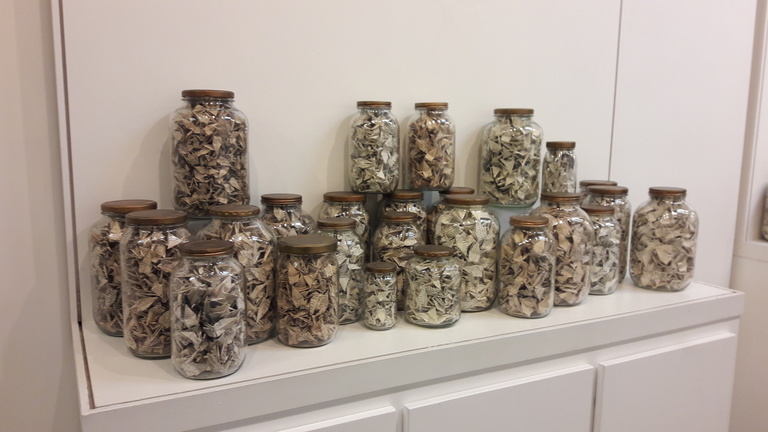 Photo of a new exhibit in the Merker Gallery showing glass jars filled with paper cranes. 