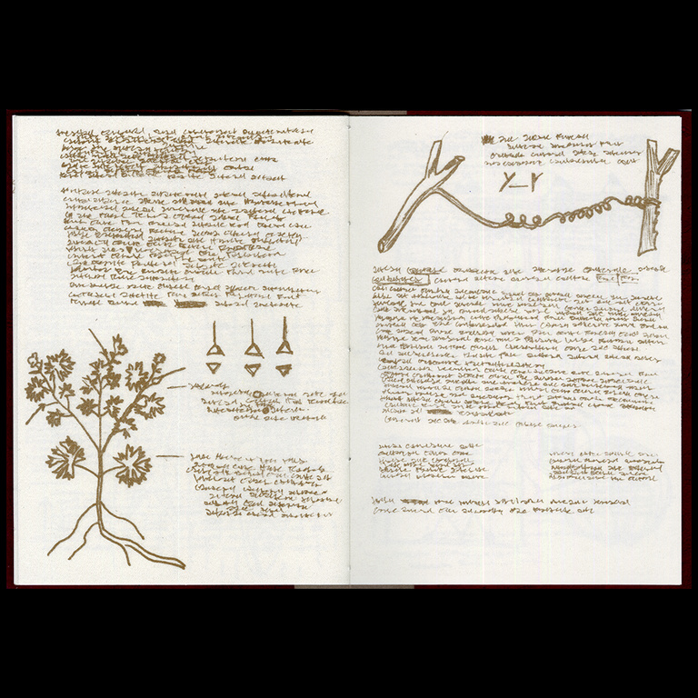 A book spread with asemic writing and diagrams