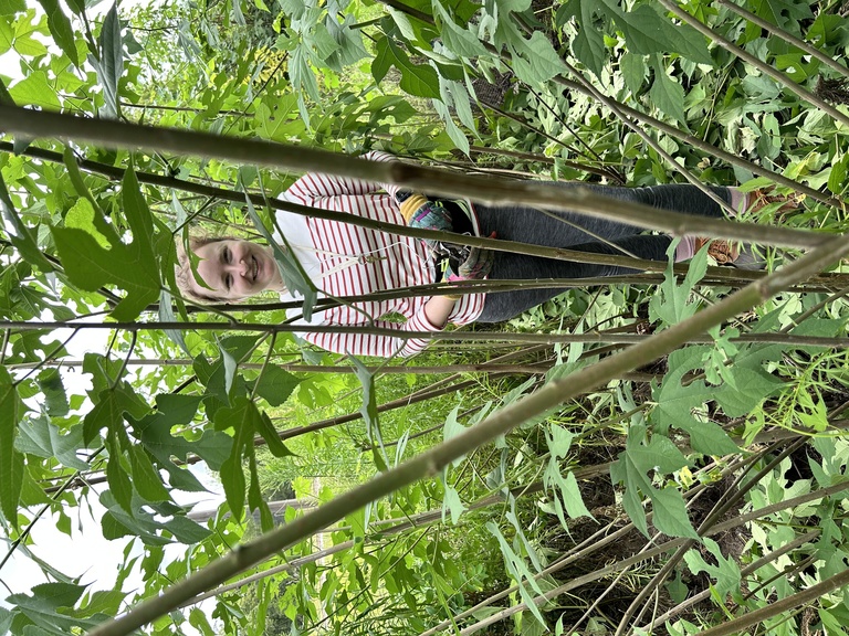 woman standing behind kozo branches