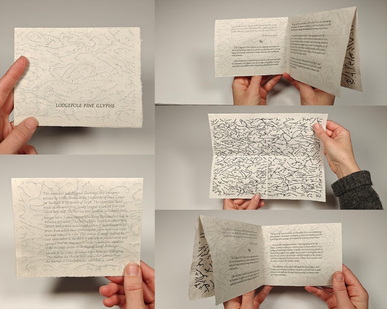 Image of Molly Brown's work