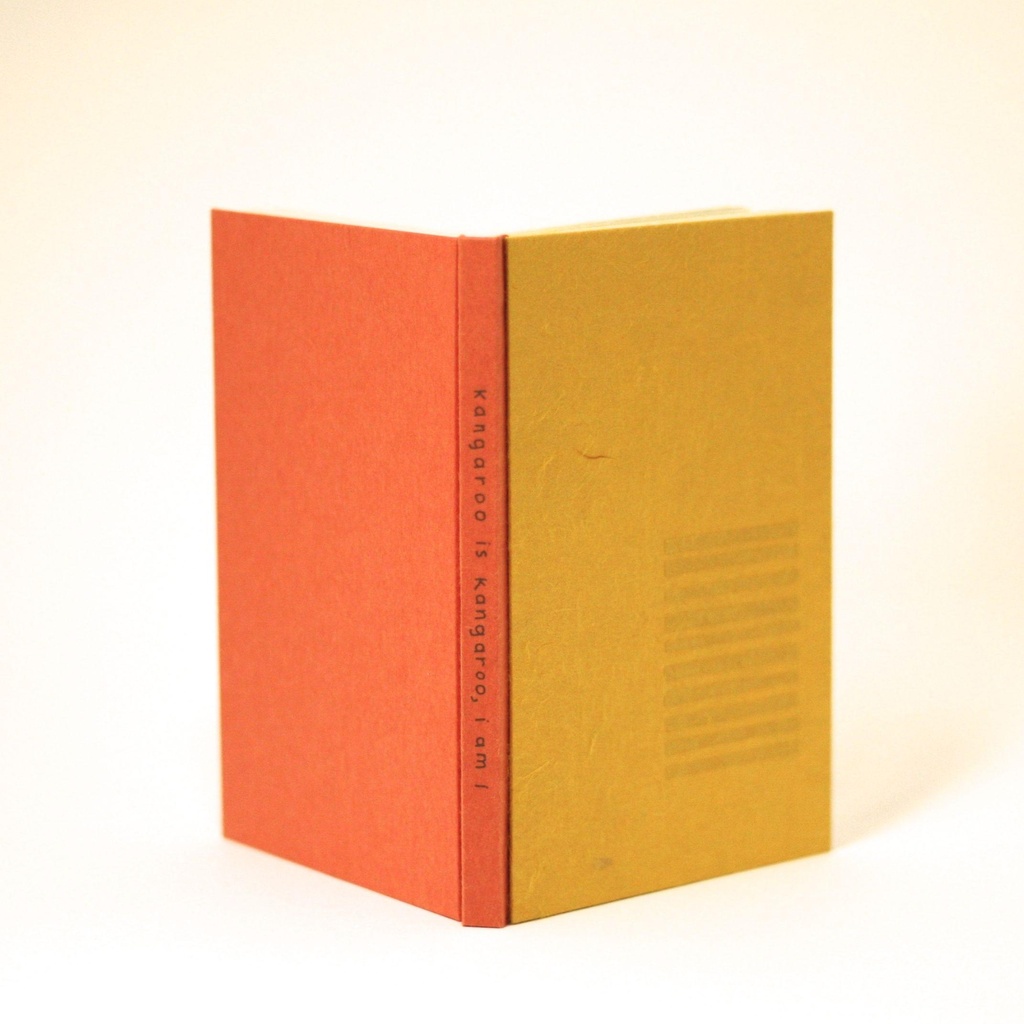 Presentation on Artist Book Work in Partnership with IWP Writers promotional image