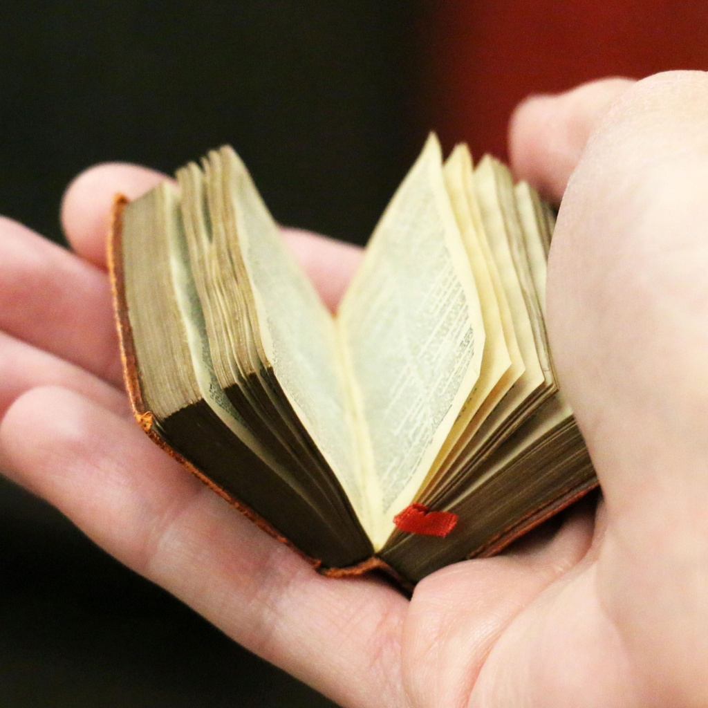 Books at Hand: A Tactile Pop-Up promotional image