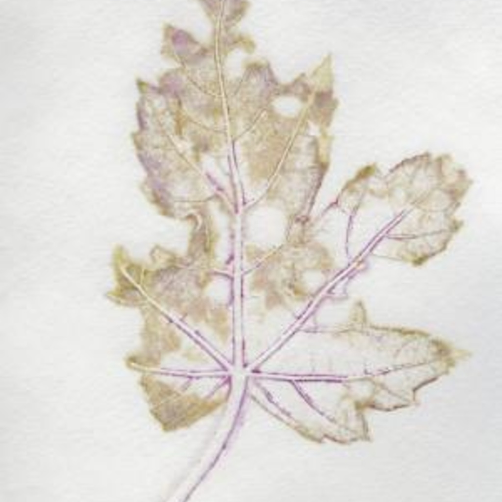 UICB MFA candidate Jill Kambs to exhibit at the Englert Theater promotional image