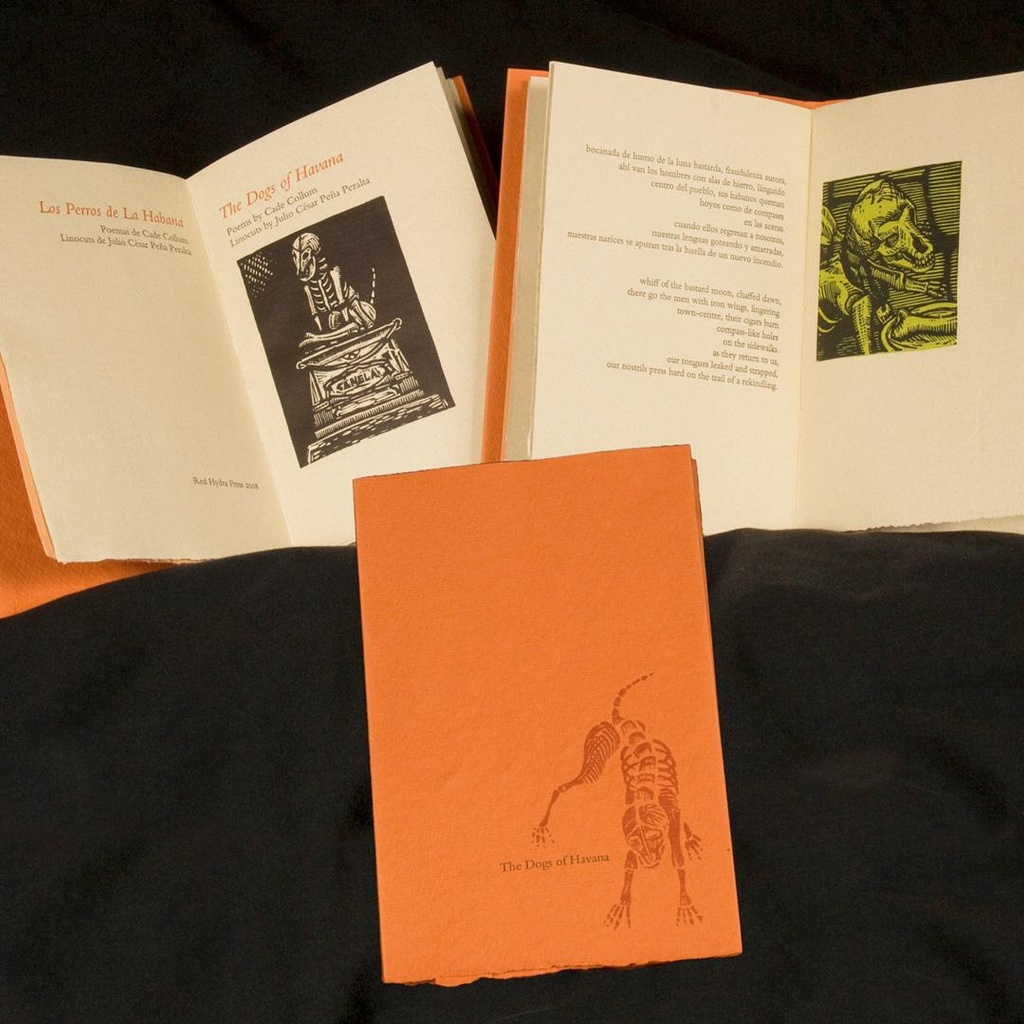 Mitchell Lecture on the Art of the Book with Steve Miller promotional image