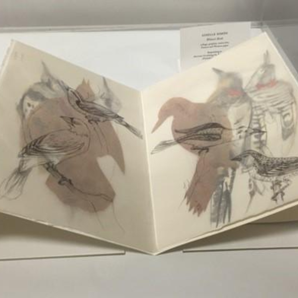 Micrographia: Book Art Responses to Early Modern Scientific Books promotional image