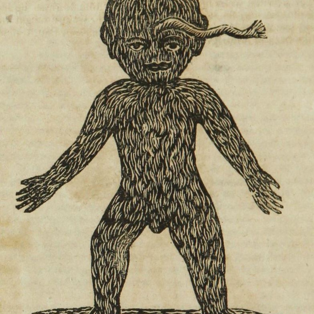 2015 Brownell Lecture on the History of the Book promotional image