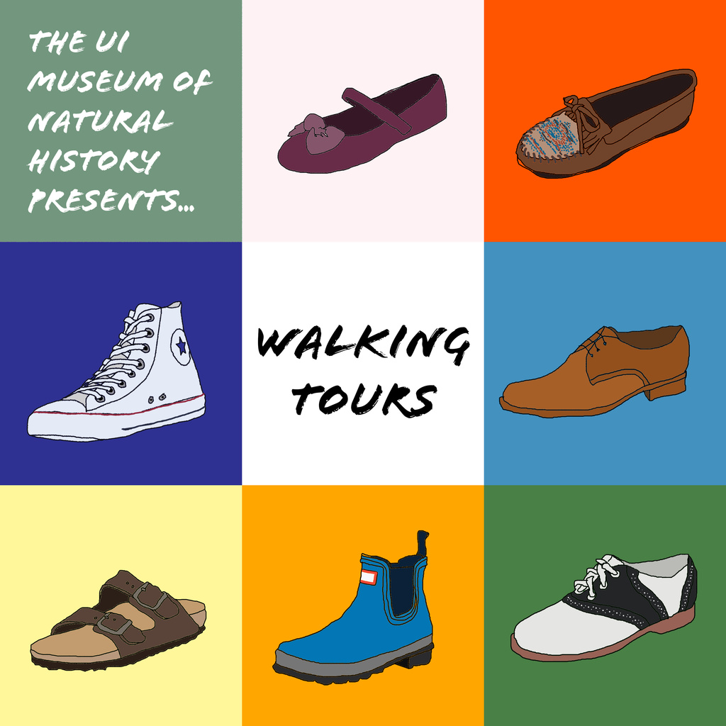 Walking Tours promotional image