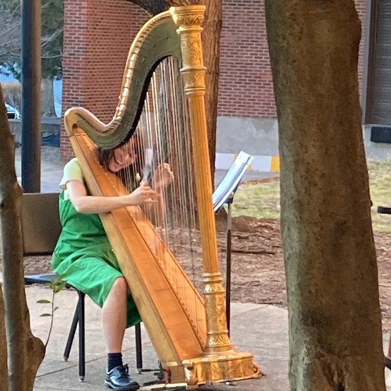 Photo of BLIS student Melanie Landsittel playing the harp 