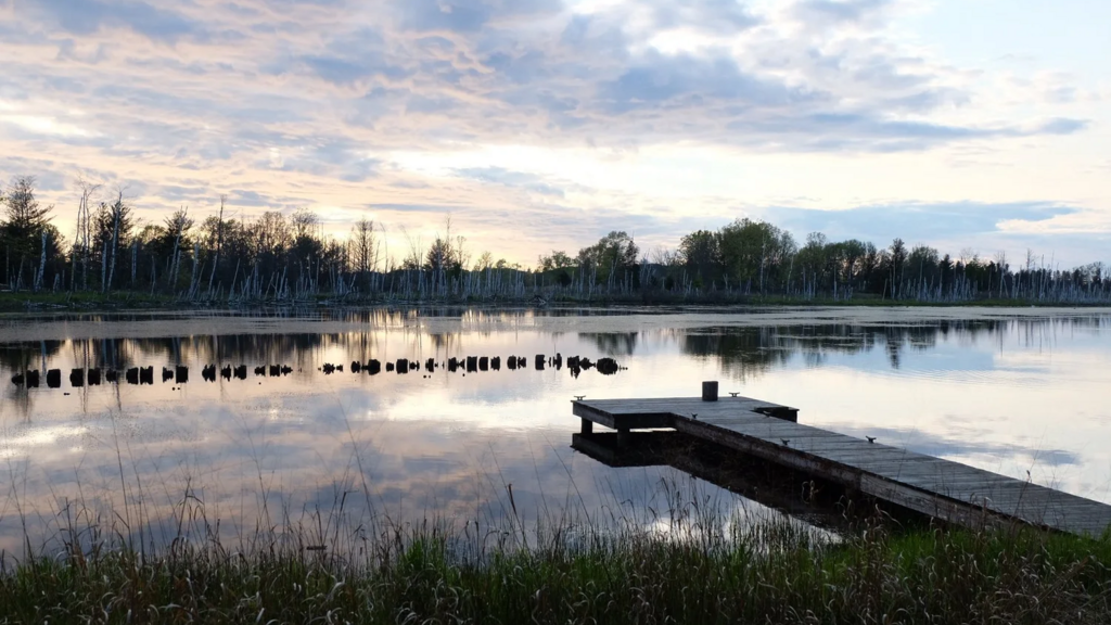 a view of the oxbow lake at Paper Book Intensive